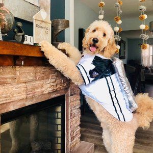 Halloween Dog Costume (Space Suit) Size Large